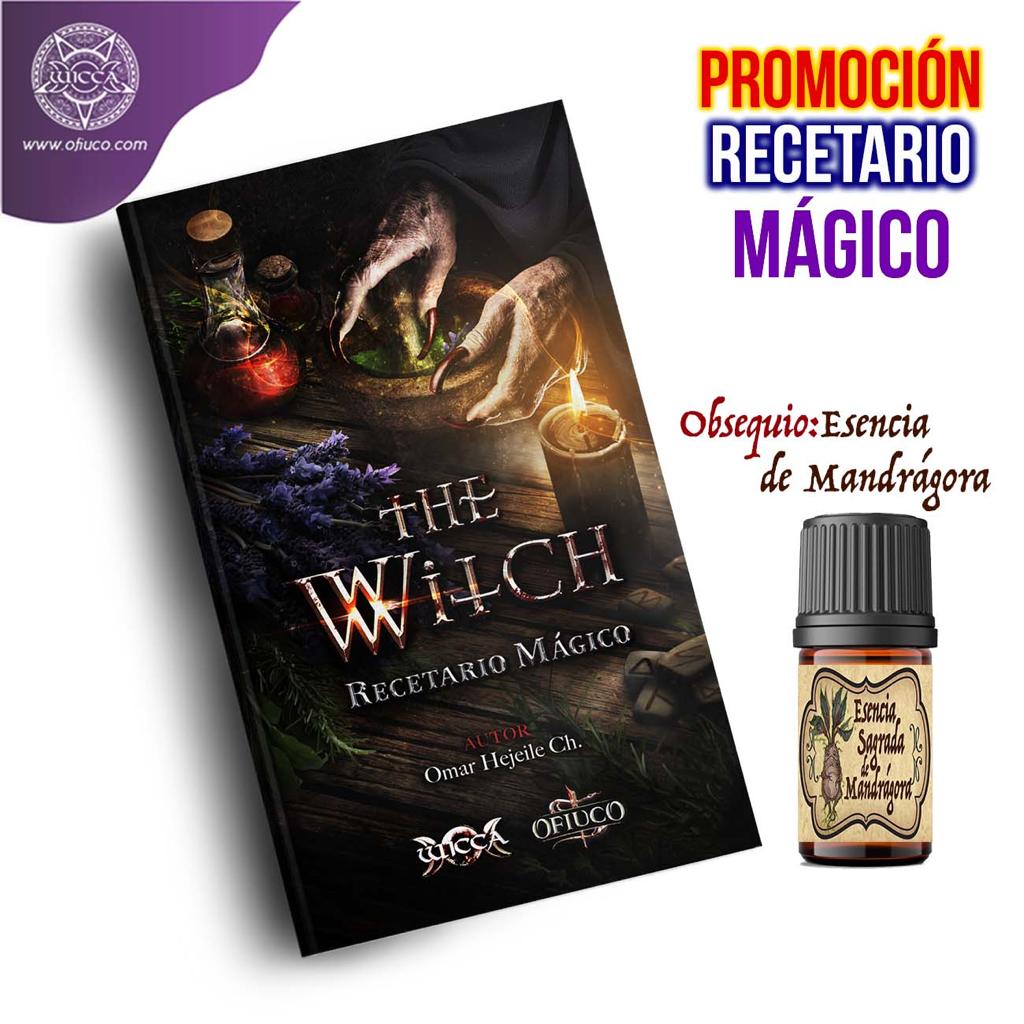 Libro THE WITCH Recetario Mágico