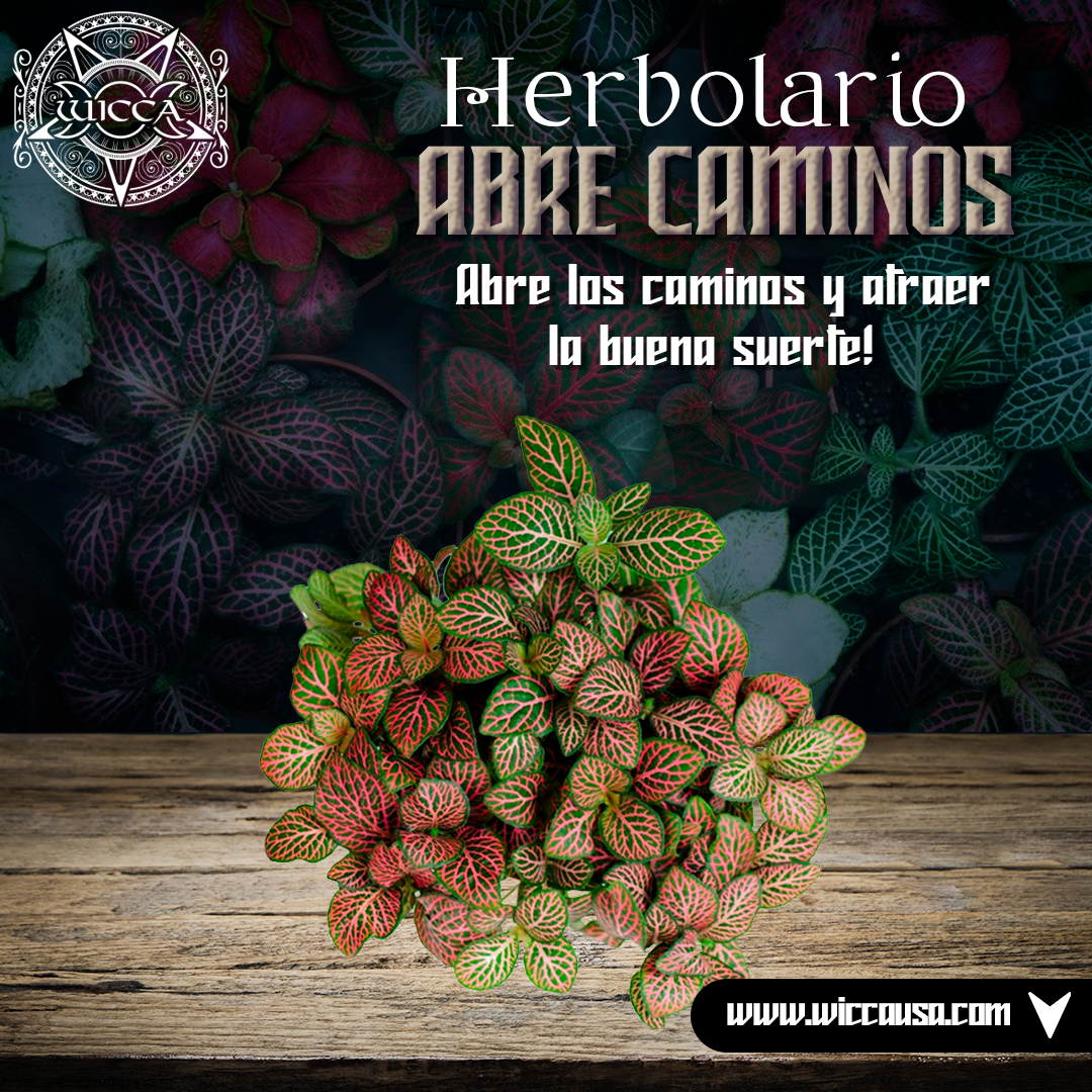 Herbolario: Abre caminos