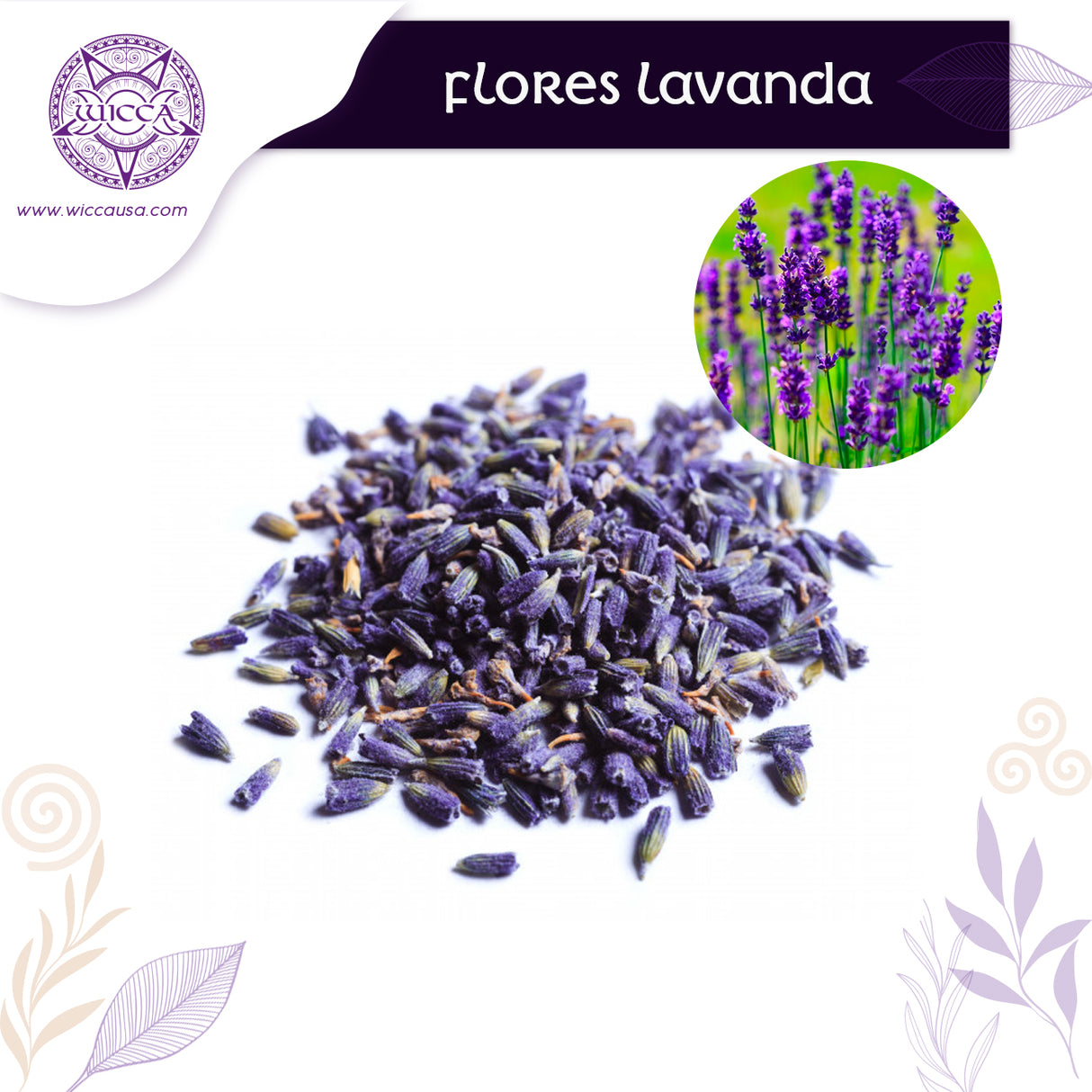 Herbolario Lavanda